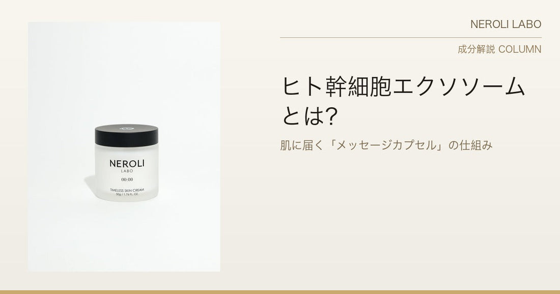 ヒト幹細胞エクソソームとは？