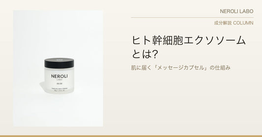 ヒト幹細胞エクソソームとは？